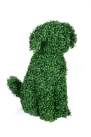 Градинска фигура декоративно куче от ЧЕМШИР UV 60 см