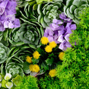 Декоративно квадратно пано за стена СУКУЛЕНТНИ РАСТЕНИЯ UV 50х50 см.