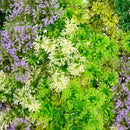 Декоративна плочка СКАНДИНАВСКИ МЪХ микс с акцент лилаво UV 100х100 см.