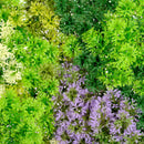 Декоративна плочка СКАНДИНАВСКИ МЪХ микс с акцент лилаво UV 100х100 см.