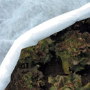 Покривало против измръзване Ortoclima Plus над зелена салата за защита през зимата.