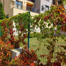 Оградна мрежа PANTANET ESSENTIAL, H = 0.61, 0.81, 1.02, 1.22, 1.52, 1.83, 2.03 м