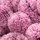 Декоративна топка розова ХОРТЕНЗИЯ UV ∅27 см ∅32 см