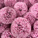 Декоративна топка розова ХОРТЕНЗИЯ UV ∅27 см ∅32 см