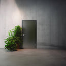 Еднокрила пожароустойчива врата Locher в светлосиво на фона на бетонна стена и зелено растение.