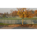 Покривало за огради Soleado SPORT, защитен футболен терен с есенни дървета около него.