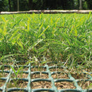 Мрежа TENAX TR за укрепване на тревни площи, наклони и защита от копаене на дупки от домашни любимци, H=1.0m L=5.0m