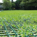 Мрежа TENAX TR за укрепване на тревни площи, наклони и защита от копаене на дупки от домашни любимци, H=1.0m L=5.0m