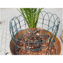 Декоративна оградна мрежа Border Fence около палма, изработена от поцинковани телове с PVC покритие.