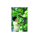 Жена, използваща градинска ножица за рязане на клони под зелено дърво.