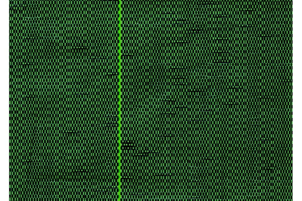 Купи Универсално покривало Оutdoor Cover Плътност = 100%; L=1.57 x H=100 m за 357.2 лв. само от Nika.bg