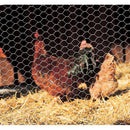 Купи Хексагонална мрежа Hobby fence H=0.5м L=10м Поцинкована за 17 лв. само от Nika.bg