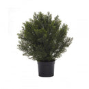 Купи Изкуствен храст в саксия - Кедър 61 см за 110 лв. само от Nika.bg