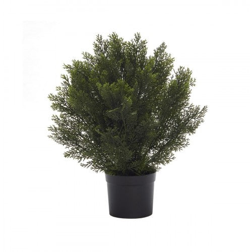 Купи Изкуствен храст в саксия - Кедър 61 см за 110 лв. само от Nika.bg