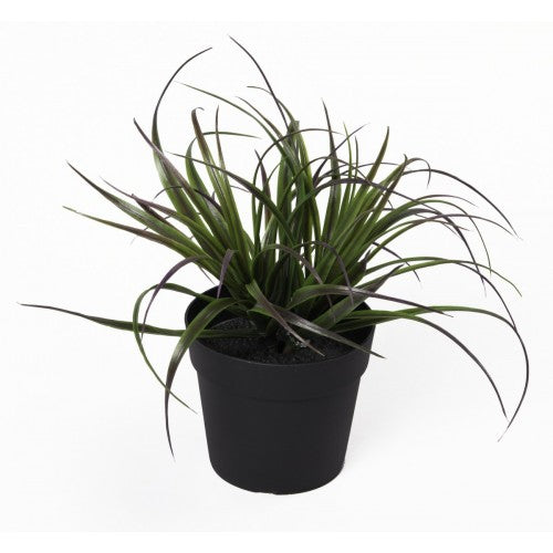 Купи Изкуствено растение в саксия - Тиландсия за 15.99 лв. само от Nika.bg