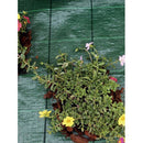 Купи Покривало против плевели Green Cover Плътност = 100%; H=1.65 x L=100 m за 417.05 лв. само от Nika.bg