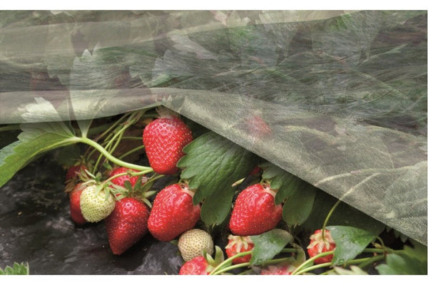 Купи Покривало против измръзване ORTOCLIMA; H=1.6 x L=10 m за 13.3 лв. само от Nika.bg