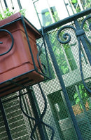 Контейнер за цветя, закачен на плетена мрежа, с зелена растителност на балкон.