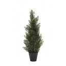 Купи Изкуствено дърво Кедър в саксия - T234Z-14480-2E108 за 33.99 лв. само от Nika.bg