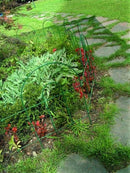 Декоративна ограда в градина с цветя и каменна пътека, изработена от метал с PVC покритие.