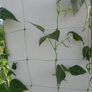 Мрежа за увивни растения Flora с израснали стъбла и листа, идеална за градинарство и подкрепа на растения.